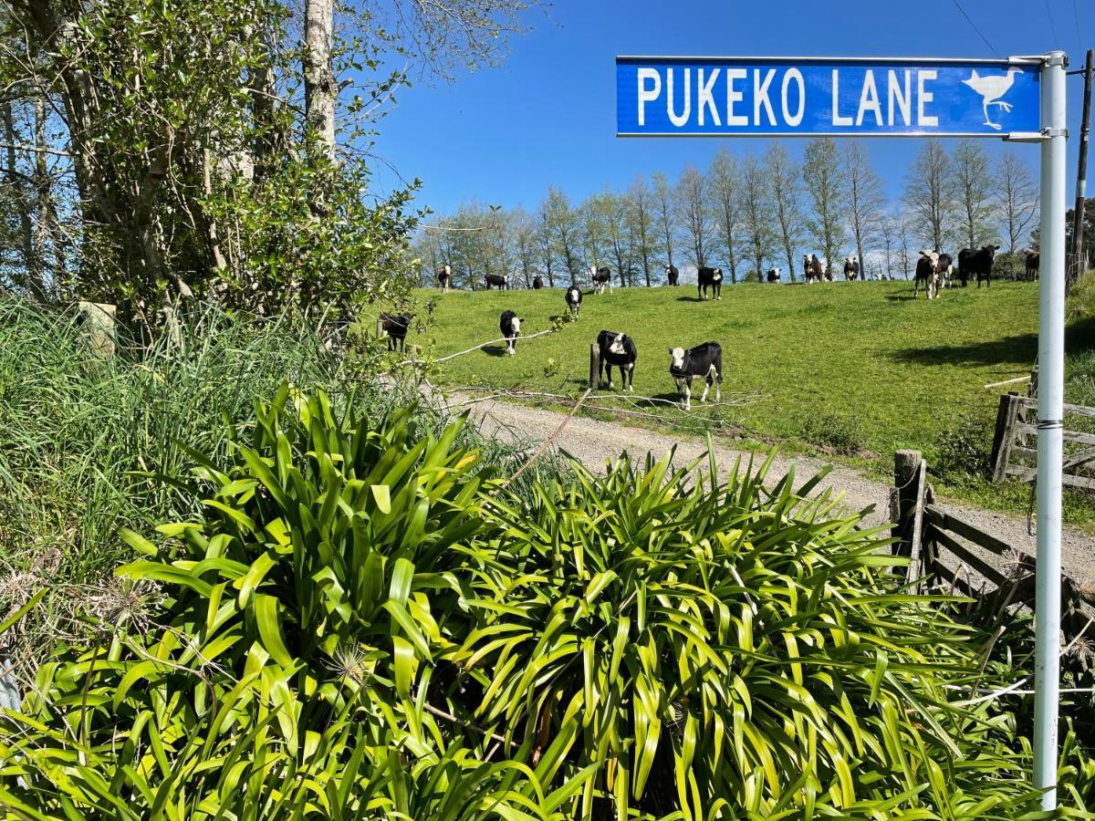Apartamento Pukeko Lane Tauranga Exterior foto